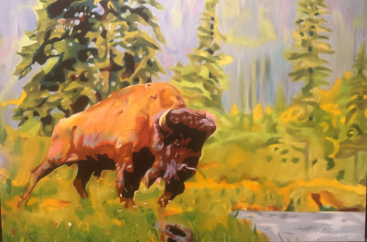 Buffalo Bob