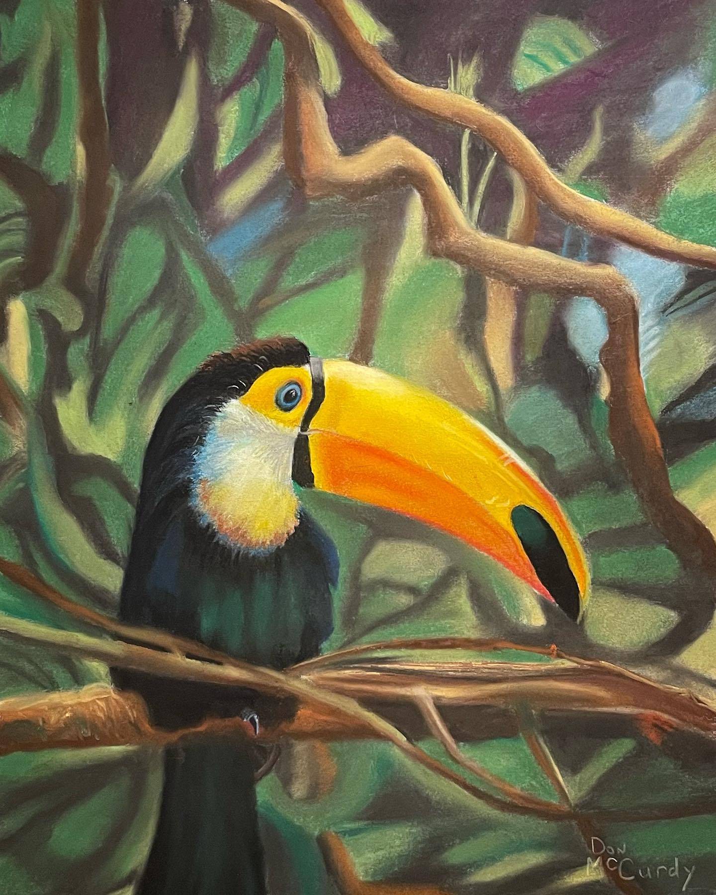 Toucan